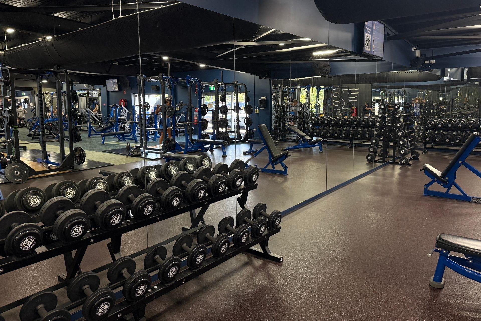 Free Weights