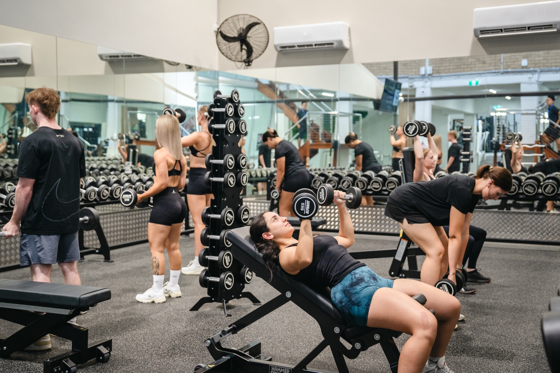 Free Weights